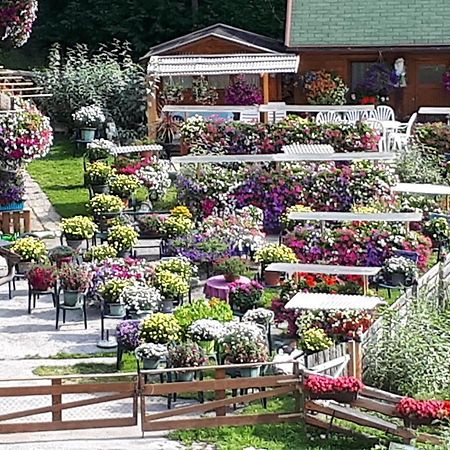Appartement Planaiblick Schladming Eksteriør bilde